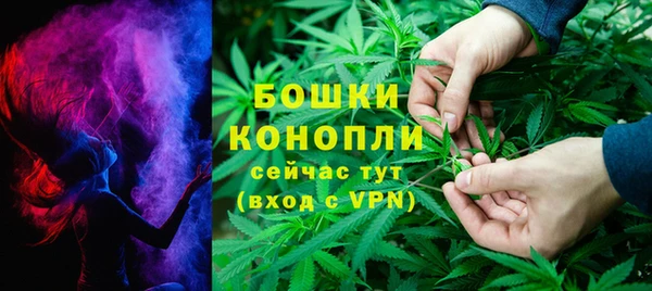 ECSTASY Белокуриха