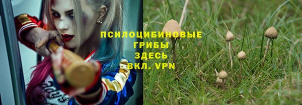 spice Белоозёрский