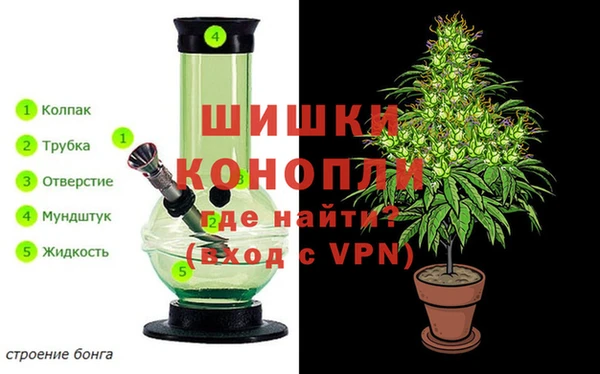 ECSTASY Белокуриха