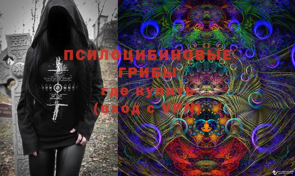 ECSTASY Белокуриха